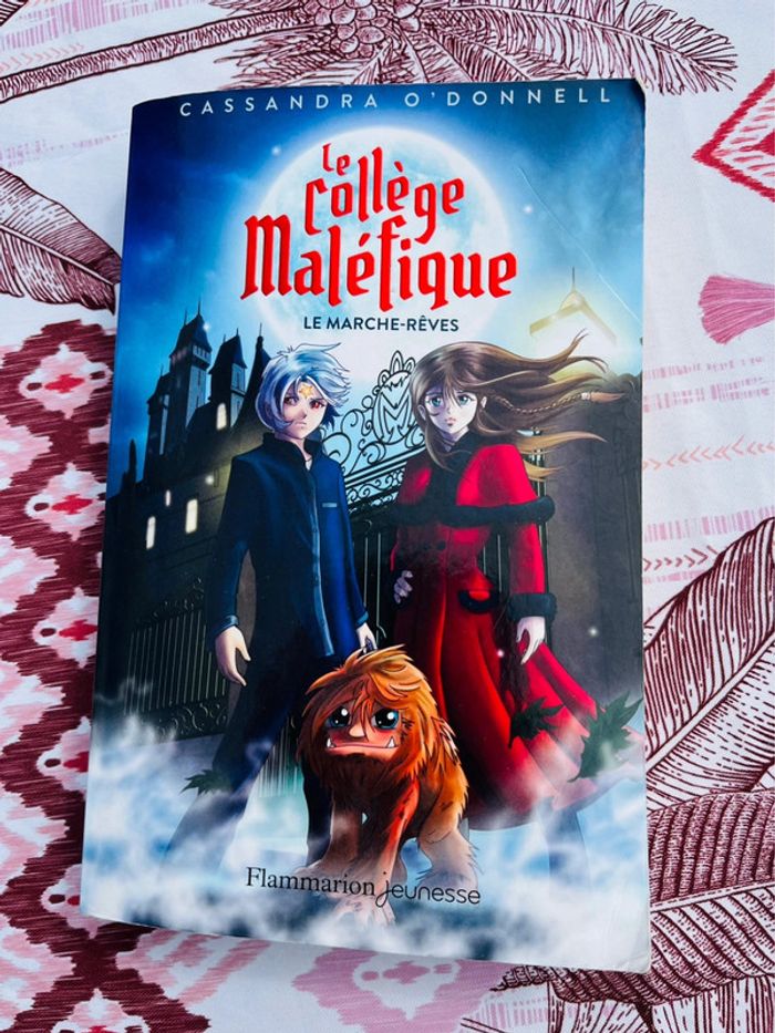 Roman le collège maléfique