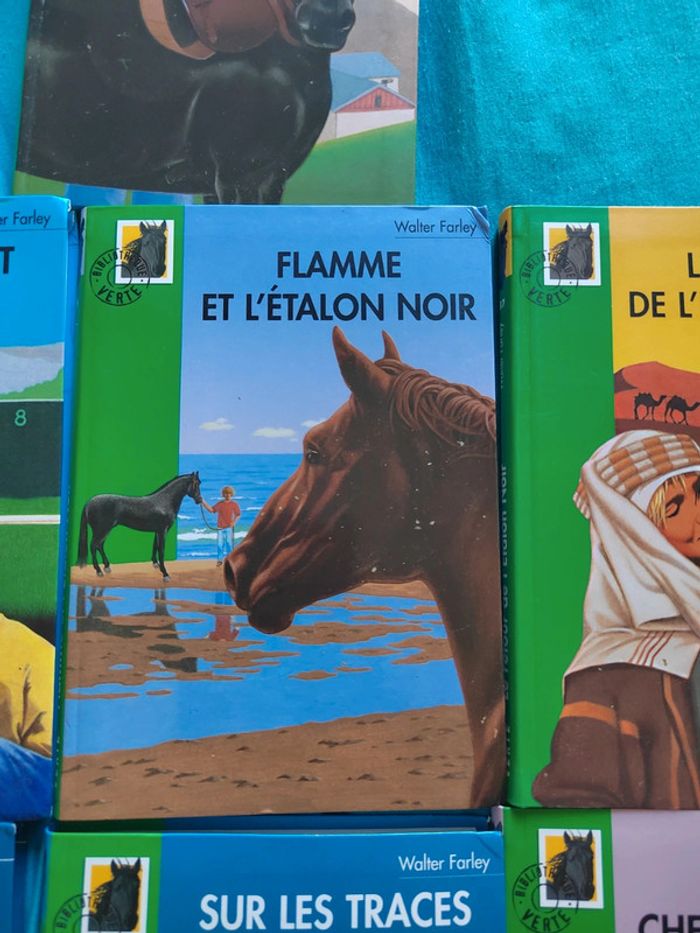 Lot de 7 livres l'étalon noir - photo numéro 4