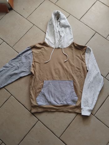 Sweat a capuche