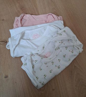 Lot 3 bodies