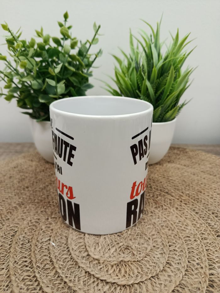 Mug humour j ai toujours raison - photo numéro 3