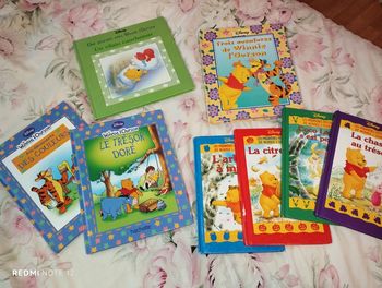 Lot de livre Winnie