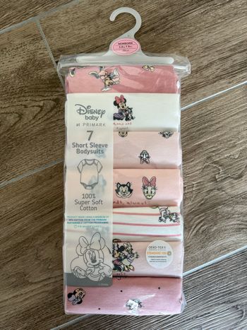 7 bodies Minnie’s