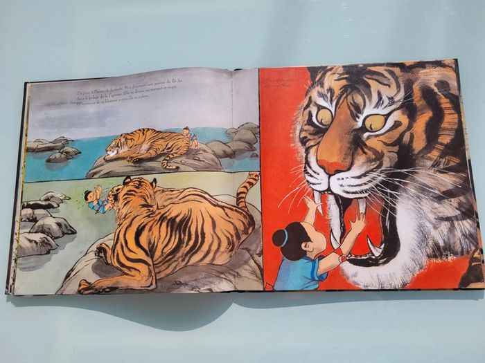 Beau livre grand format dos toilé Le Prince Tigre - photo numéro 8