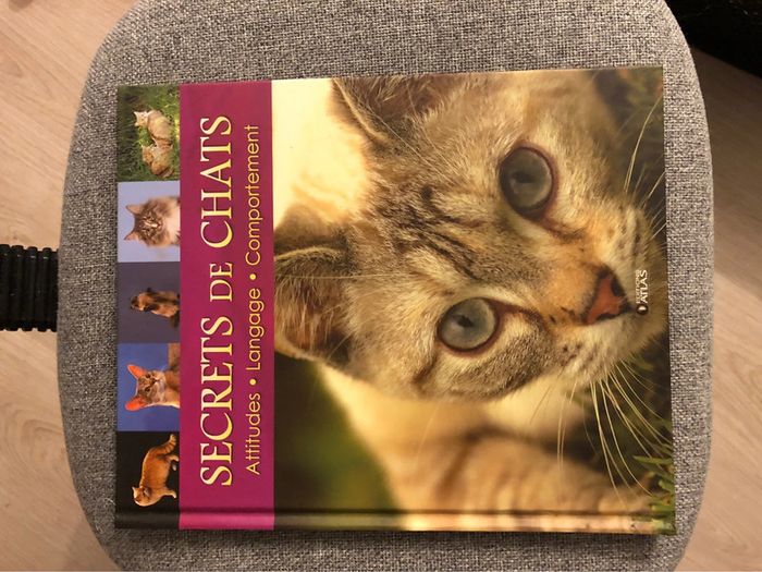 Secret de chat