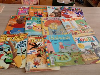 Lot de 12 magazines enfants divers