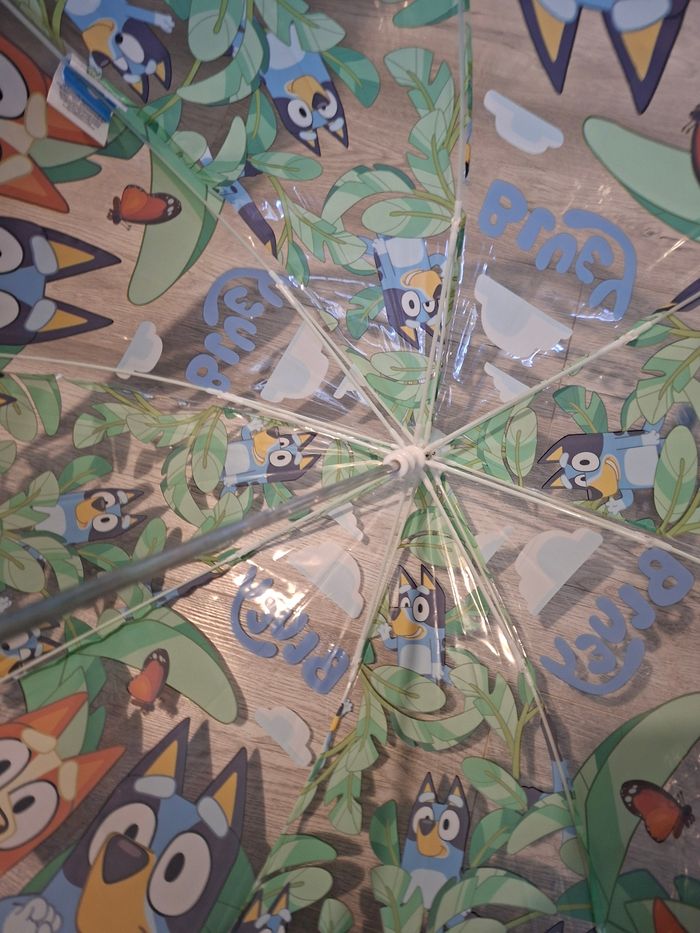 Para bluey - photo numéro 4