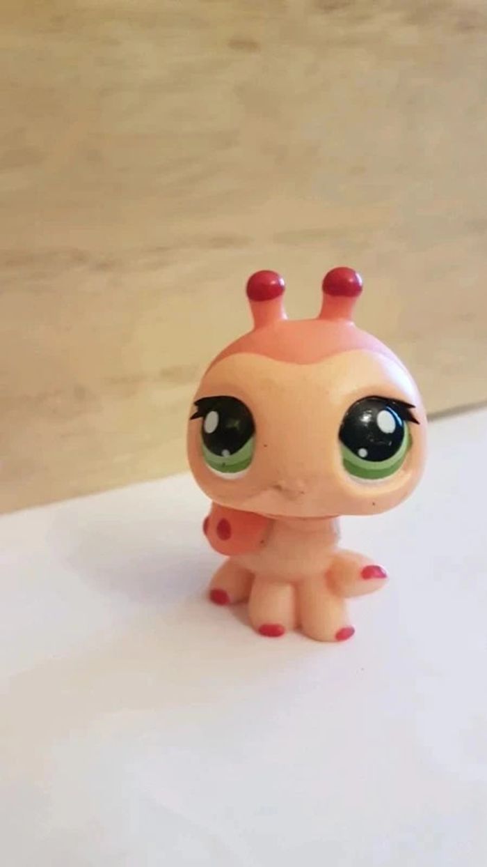 coccinelle PetShop - photo numéro 2