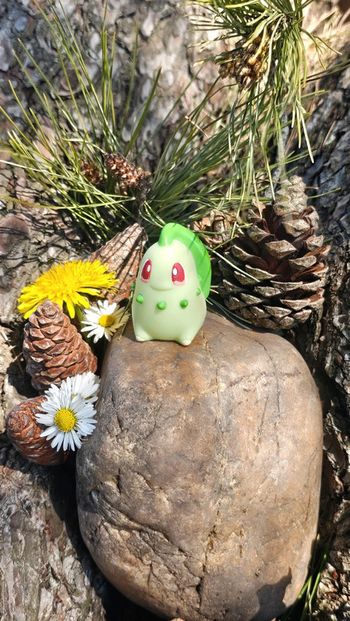 Super figurine Pokemon Nintendo finger puppet Germignon