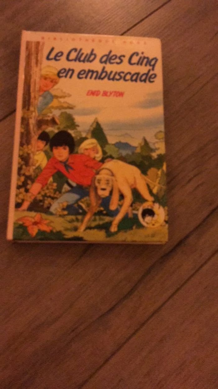 livre le club des cinq en embuscade