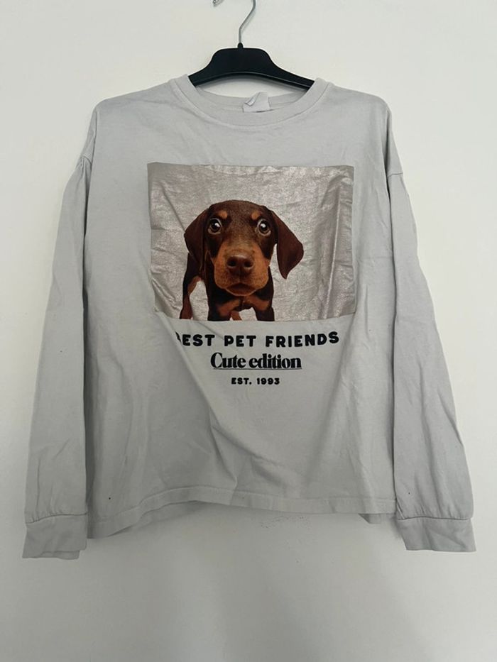 Pull 11/12ans