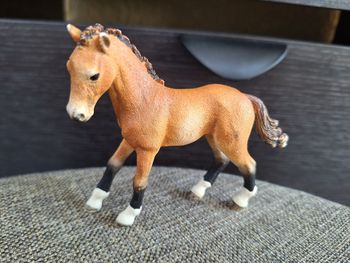 Poulain Tennessee Walker schleich
