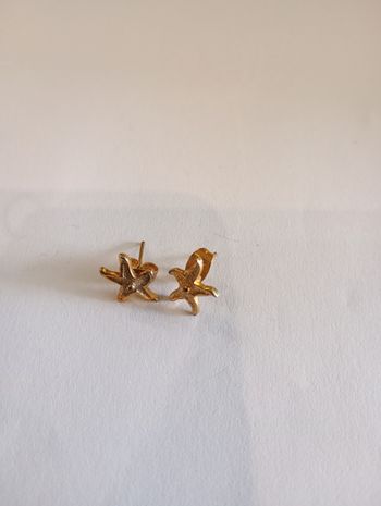 Boucles d'oreille étoiles de mer
