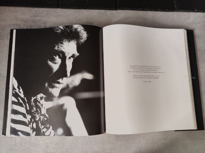 Johnny Hallyday le regard des autres - photo numéro 8
