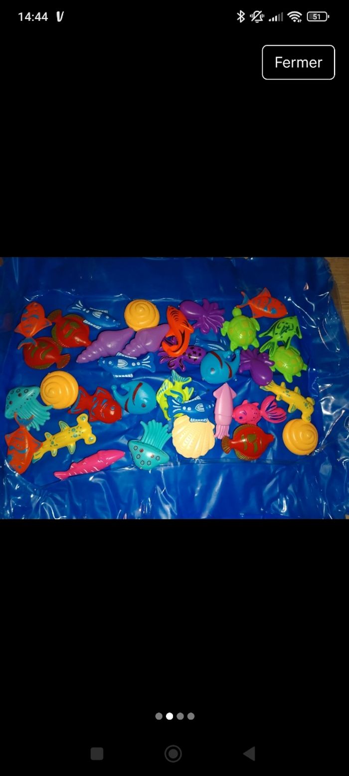 Pêche aimant - photo numéro 3