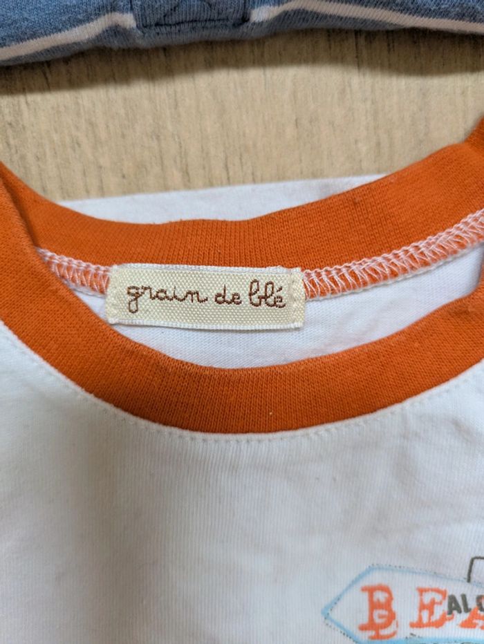 Lot t shirt garçon 24 mois - photo numéro 4