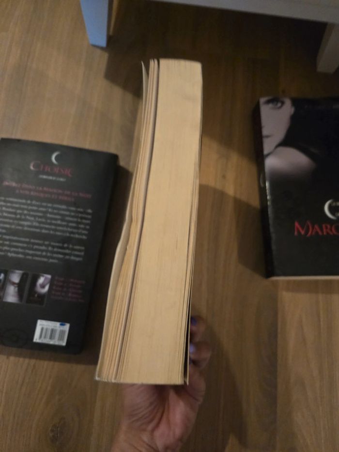Lot de 3 livres la maison de la nuit marquée trahie choisie - photo numéro 10