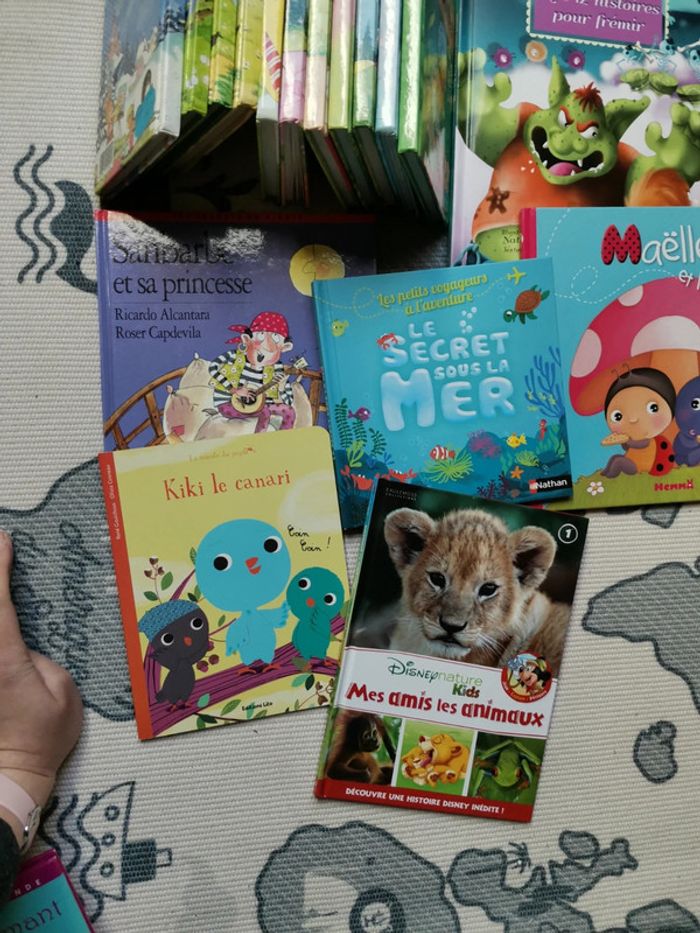 Lot de 32 livres - photo numéro 13