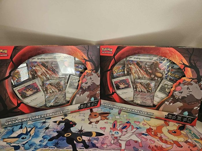 Lot de 2 Coffrets Pokémon Ursaking français