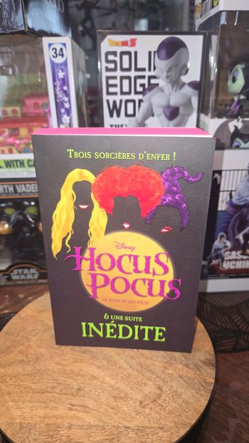 Livre roman hocus pocus