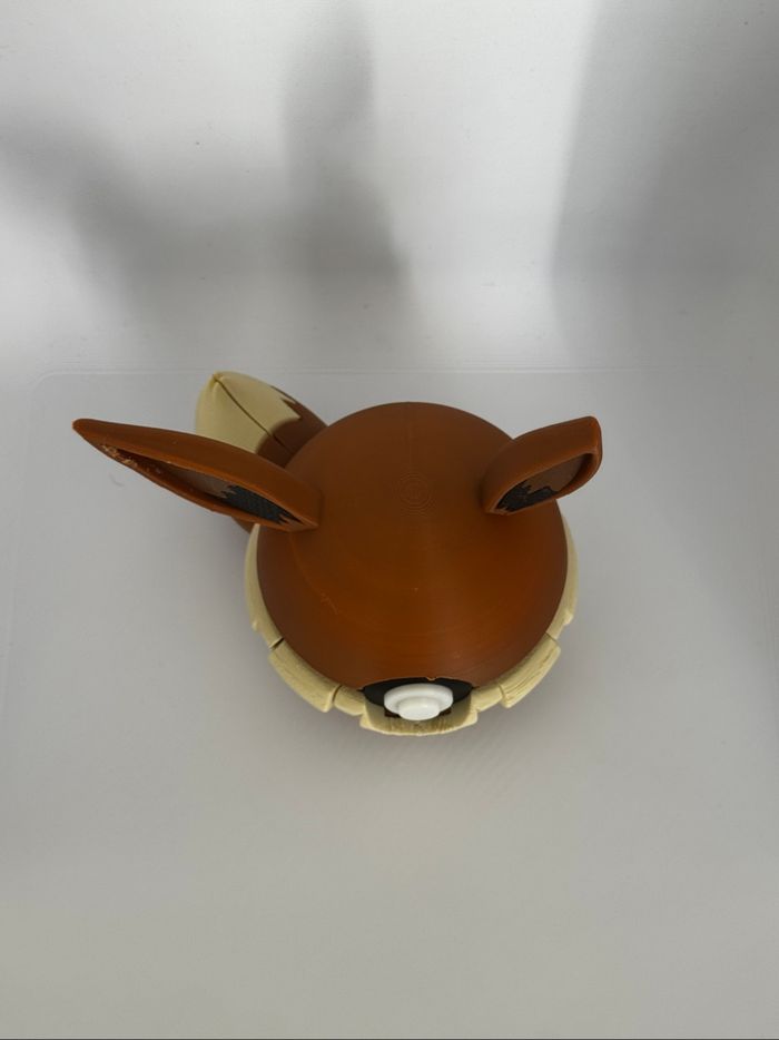 Pokeball evoli - photo numéro 4