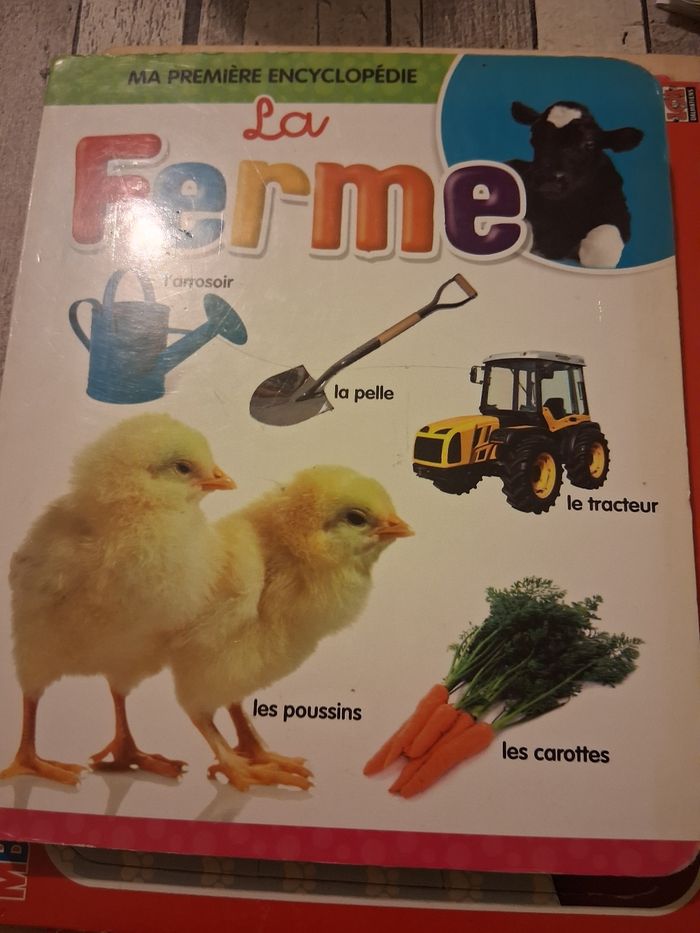 Livre sur la verme