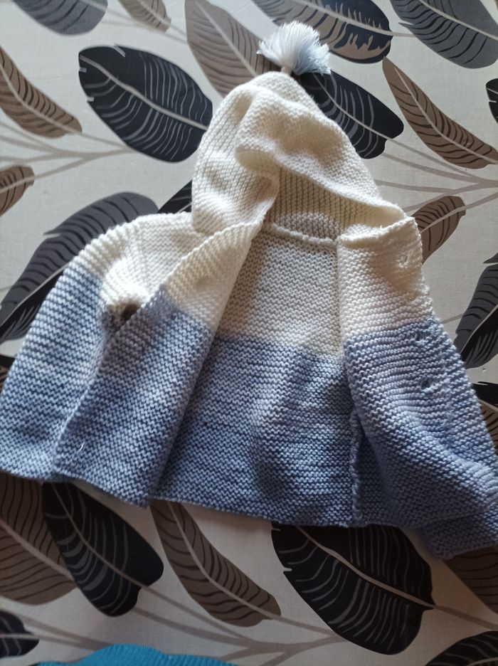 Gilet bleu et blanc - photo numéro 2