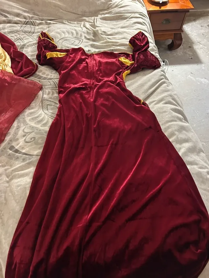 Lot de robe déguisement - photo numéro 9