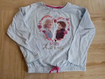 Haut Reine des neiges