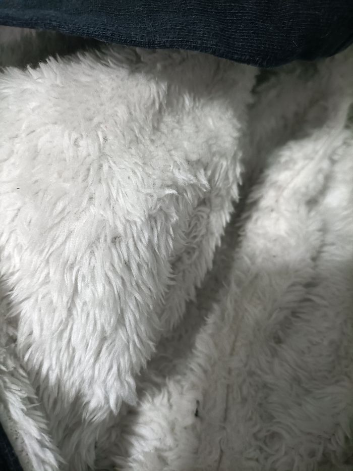 Gilet - photo numéro 2