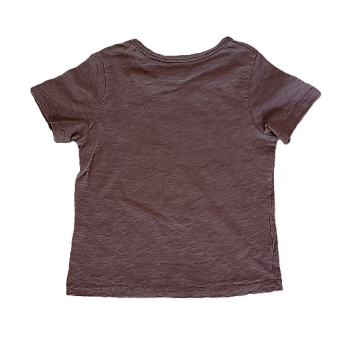 T shirt marron caméléon. Wild Jungle Adventures. C&A. Taille 3 ans. 98 cm - photo numéro 2
