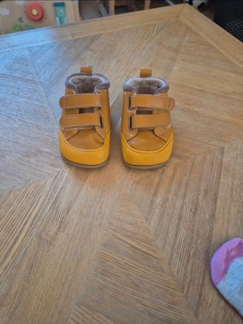 Zapato feroz taille M
