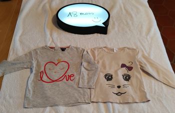 Lot 2 tee-shirt manches longues 18 mois