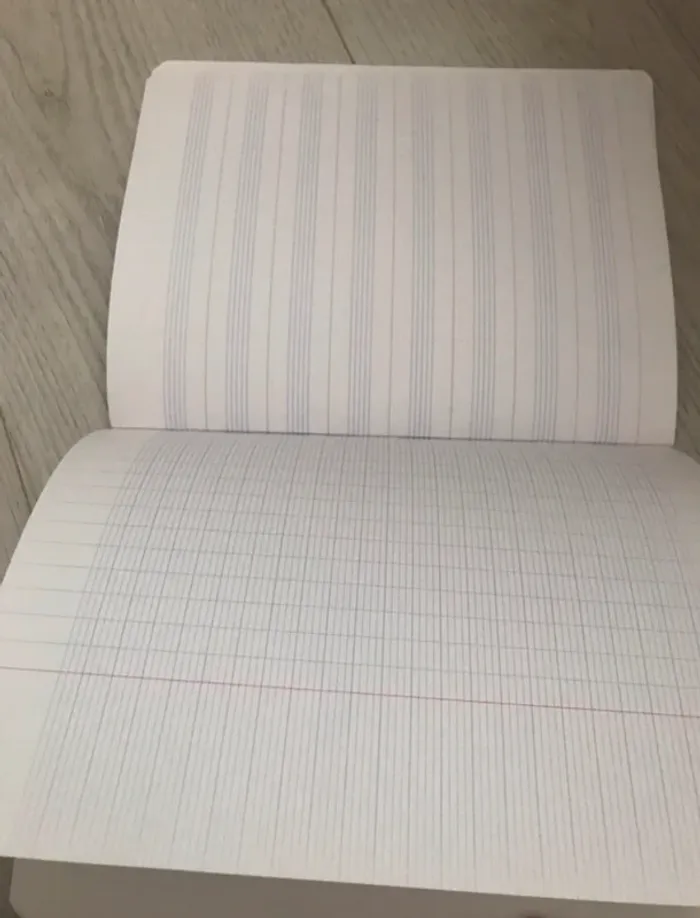 vintage cahier musique chant format  feuilles Séyès (grands carreaux) et feuilles musique - photo numéro 5