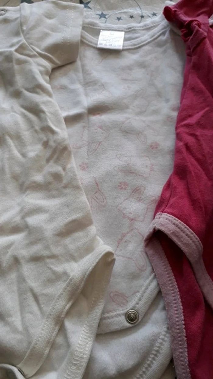 Bodys - photo numéro 3