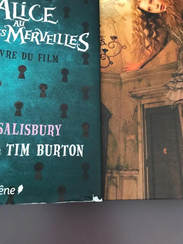 Livre Alice aux pays des merveilles le film Tim Burton - photo numéro 4