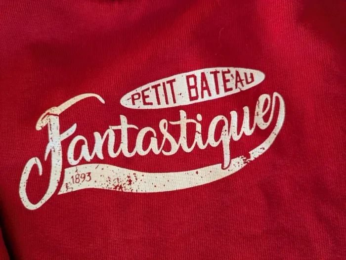 Sweat Petit Bateau garçon 3/4 ans - photo numéro 3