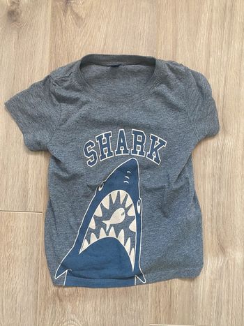T shirt requin