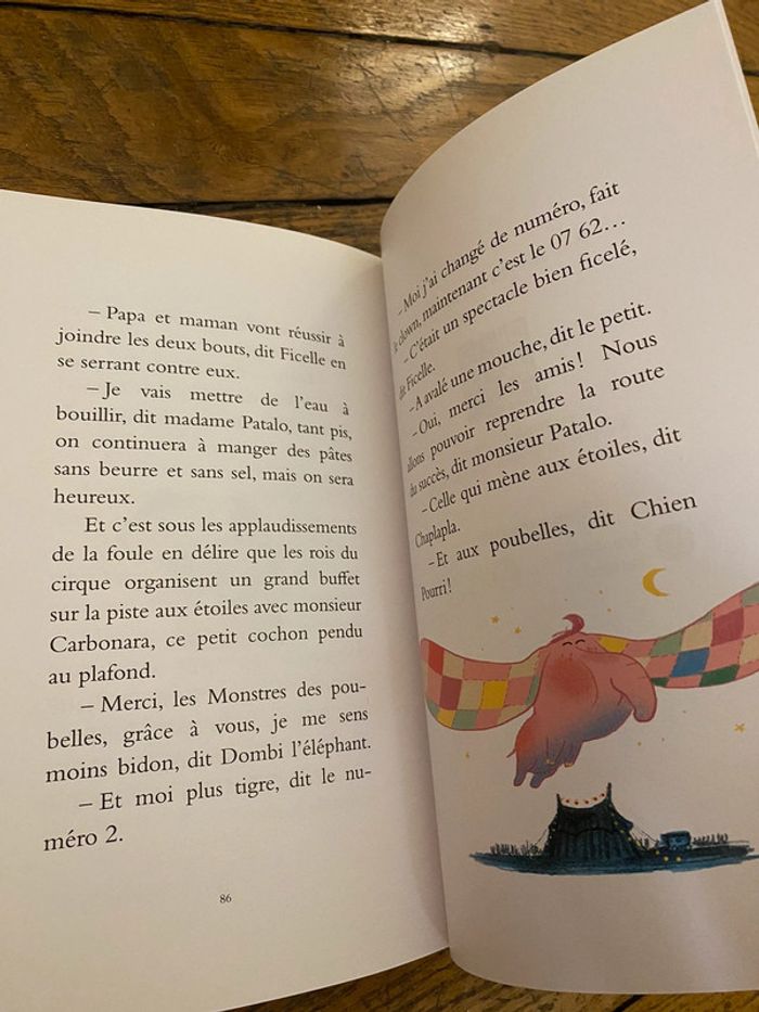 Livre Chien pourri au cirque - photo numéro 10