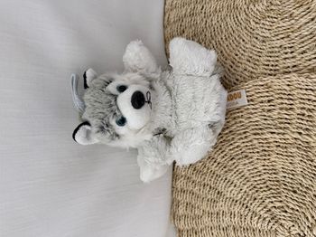 Peluche Doudou Marionnette Chien Husky rodadou