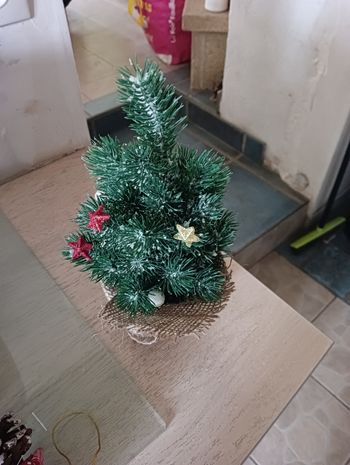 Petit sapin