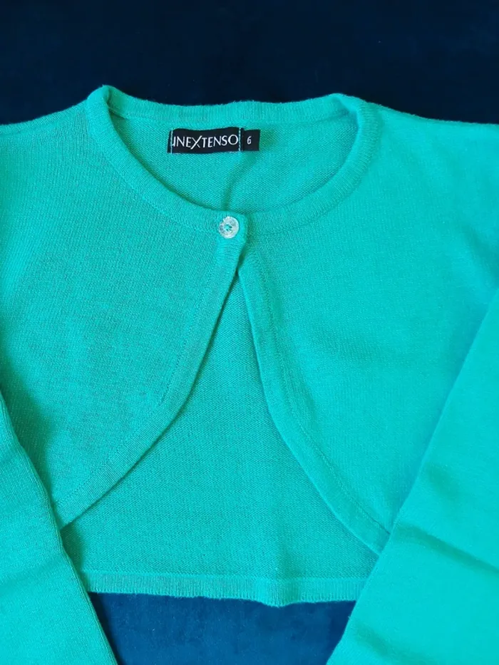 Gilet boléro fille 6 ans - photo numéro 2