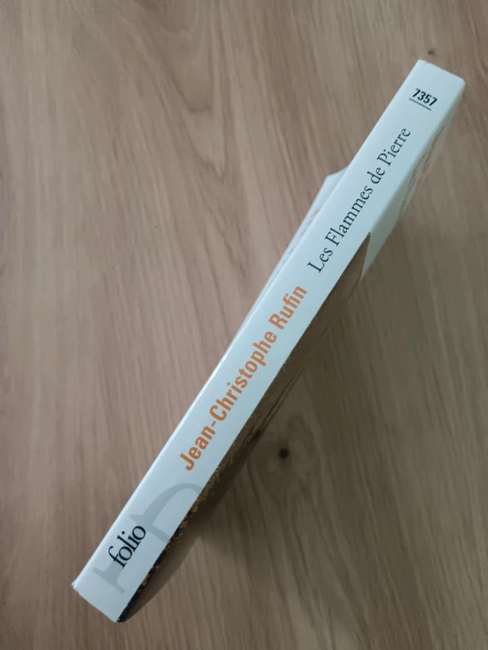 Jean-Christophe Rufin 🌸 Les flammes de Pierre - photo numéro 3