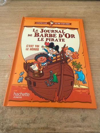 «Le journal de Barbe d’Or le Pirate»