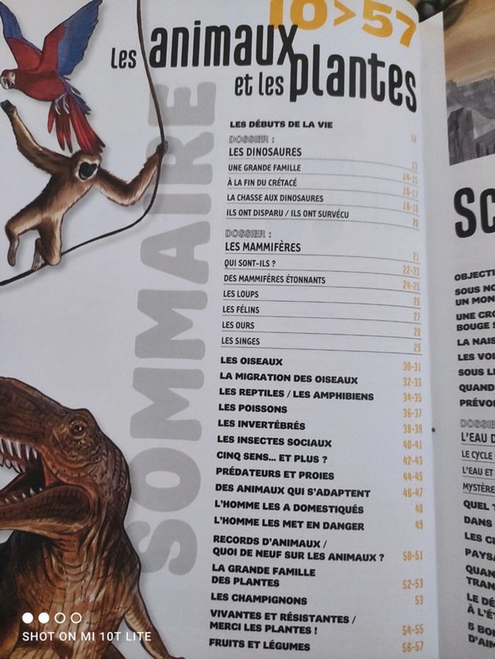 Encyclopédie dokéo - photo numéro 5