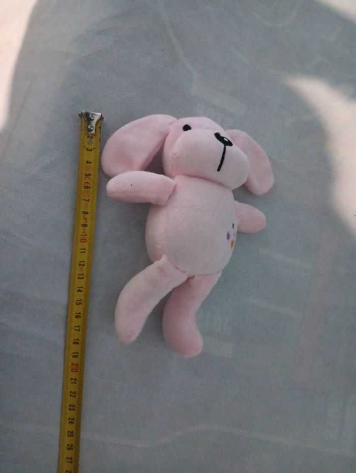 Chien - photo numéro 3