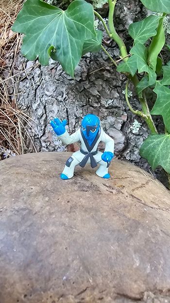 Super figurine Pokemon Nintendo tomy Karaclée