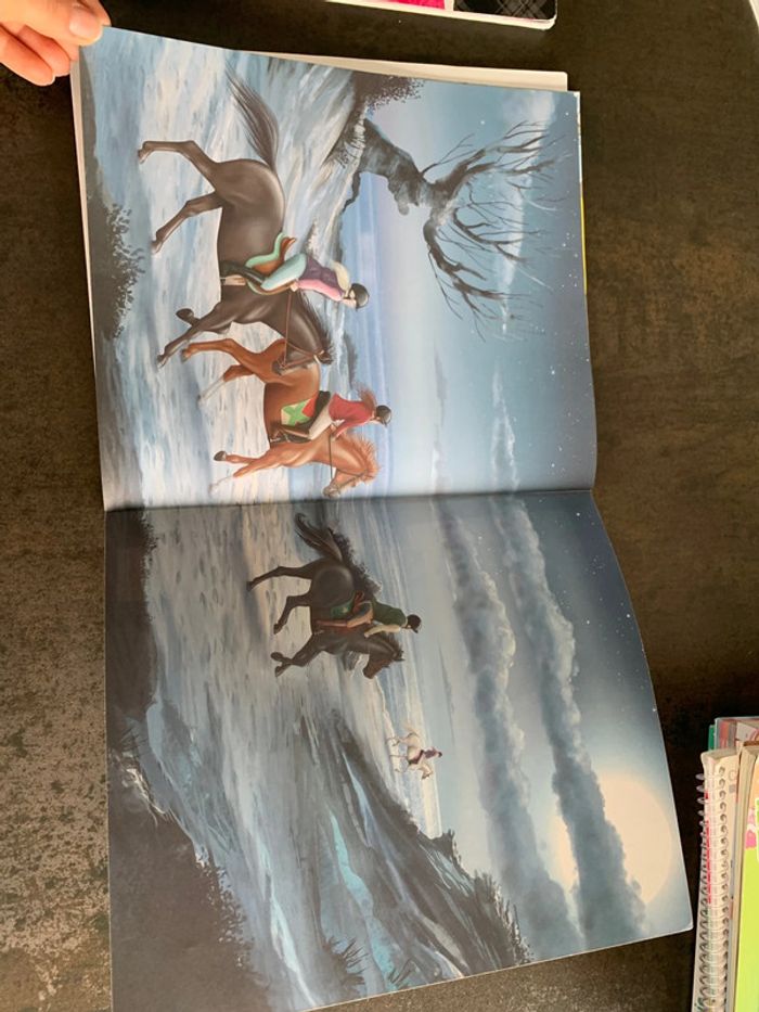 Miss melody - photo numéro 6