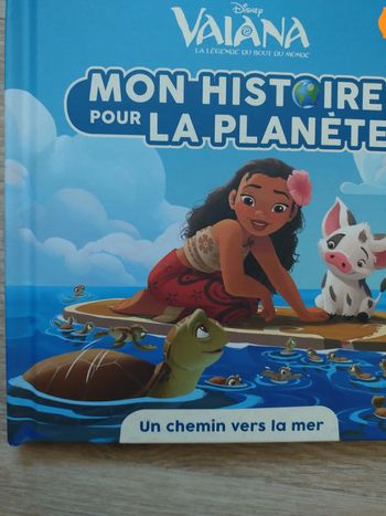 Livre Vaiana Un chemin vers la mer