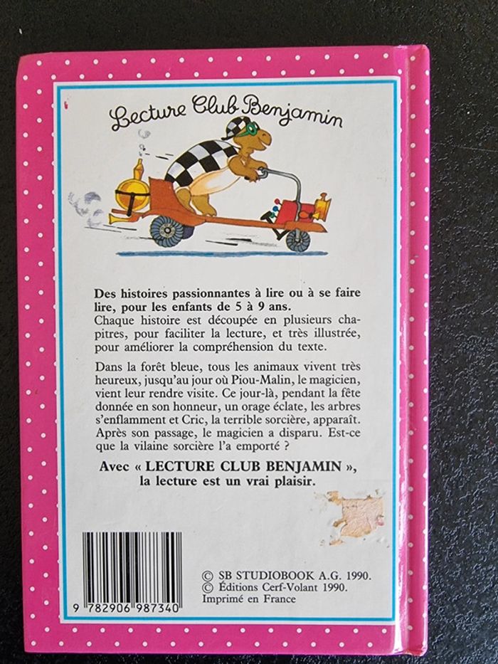 Livre enfant la Sorcière et le magicien - photo numéro 2